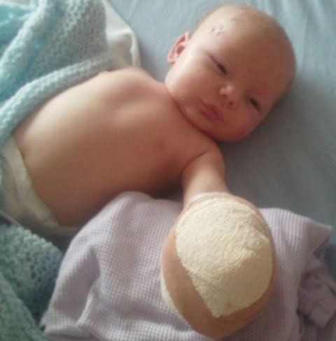 dangerousfox2-710x636