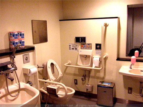 funny-strange-weird-toilet-japan-hi-tech