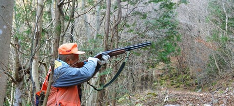 nn20130129i1a-870x396