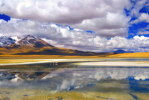 Bolivian-Landscape