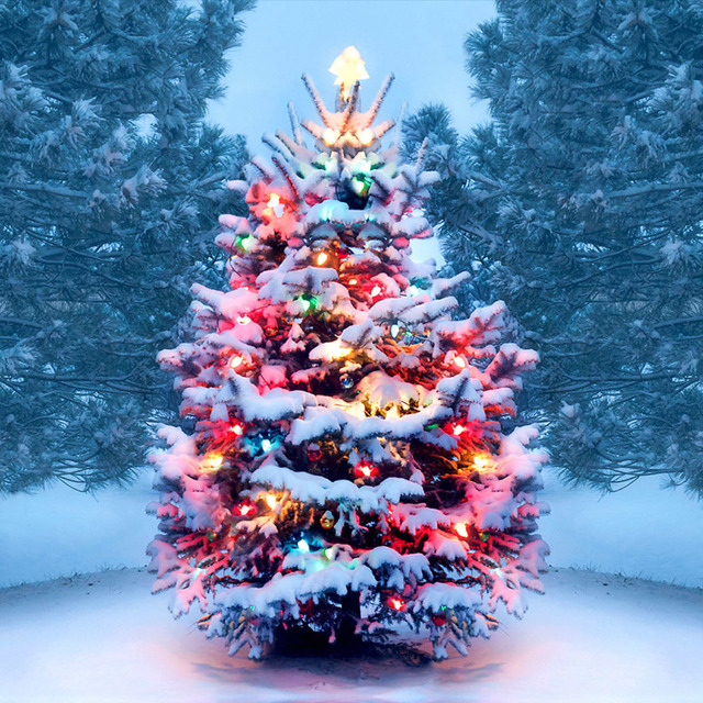 christmas-tree-gettyimages-1072744106