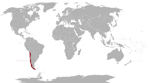 1515698505632