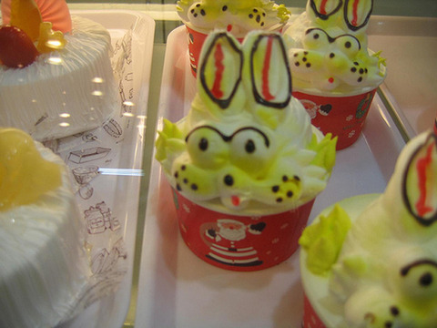 2637762582_6c4e916546