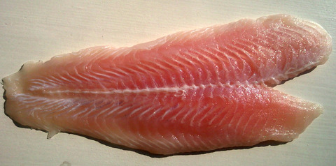 Pangasius_meat