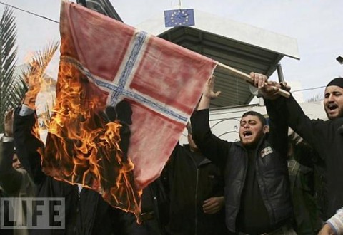 norway-flag-burned-by-muslims-in-norway-not-eu-flag-in-photo