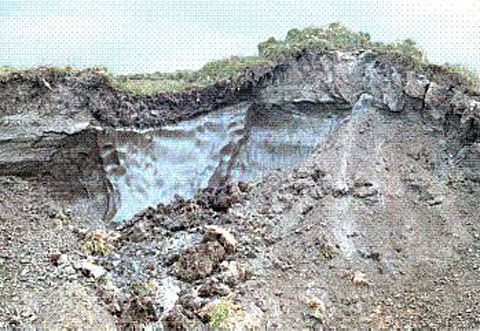 Permafrost_-_ice_wedge