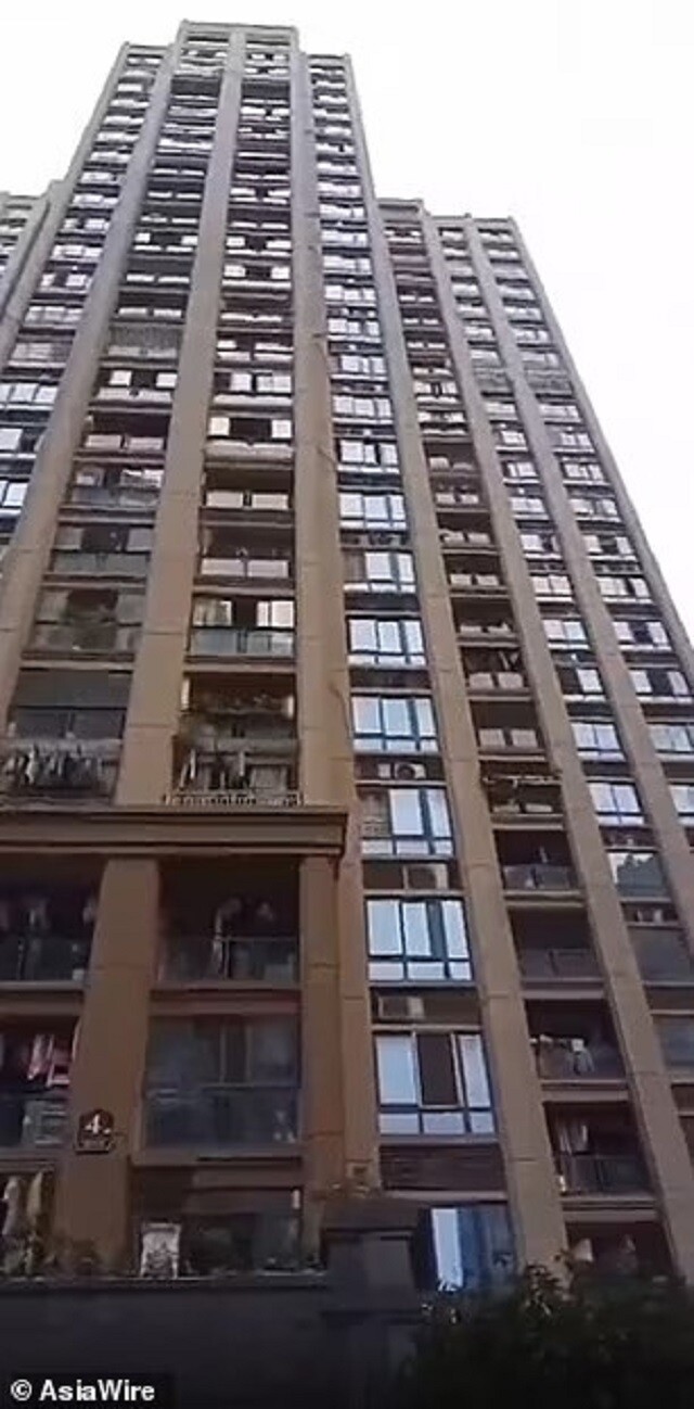 0 (3)