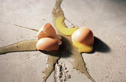 egg_eco_terror