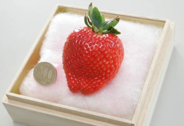 japanese-strawberry-1