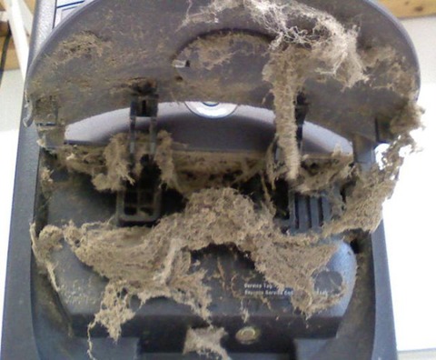 the_disgusting_things_found_inside_pcs_640_19