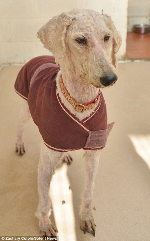 24F1FBF500000578-2921471-image-a-40_1421937812976