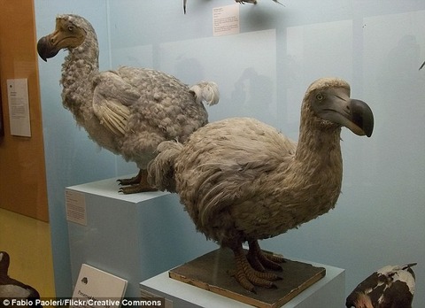 article-2298805-18EA67FC000005DC-598_634x460