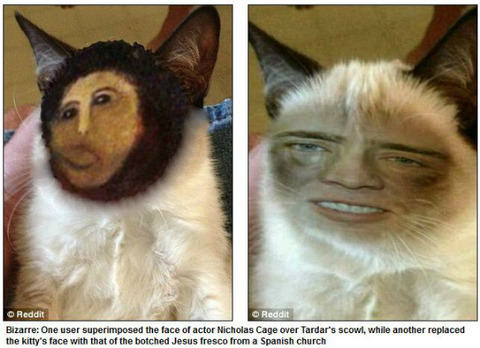 tard4