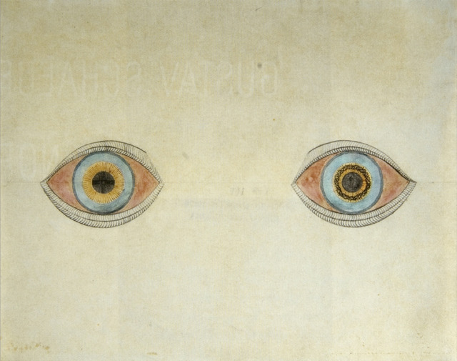 August_Natterer_Meine_Augen_zur_Zeit_der_Erscheinungen