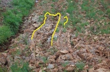 i-hope-thats-it-5491-1280550609-0