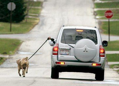 Dreamweaver-20091029-080839