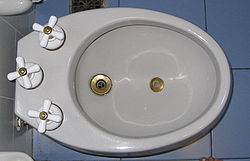 250px-Bidet_top