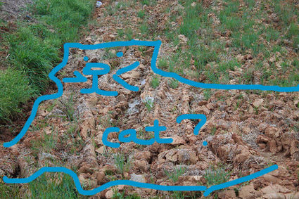 its-just-there-the-whole-thing-24134-1280034213-0