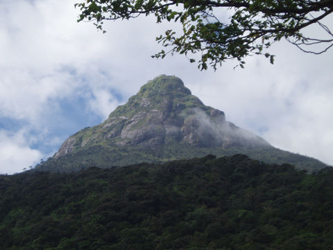 Sri_Pada