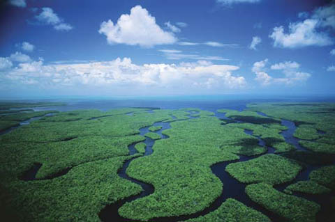Everglades Fishing Backcountry