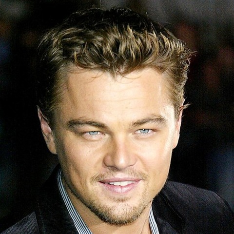leonardo-dicaprio-2496430_123