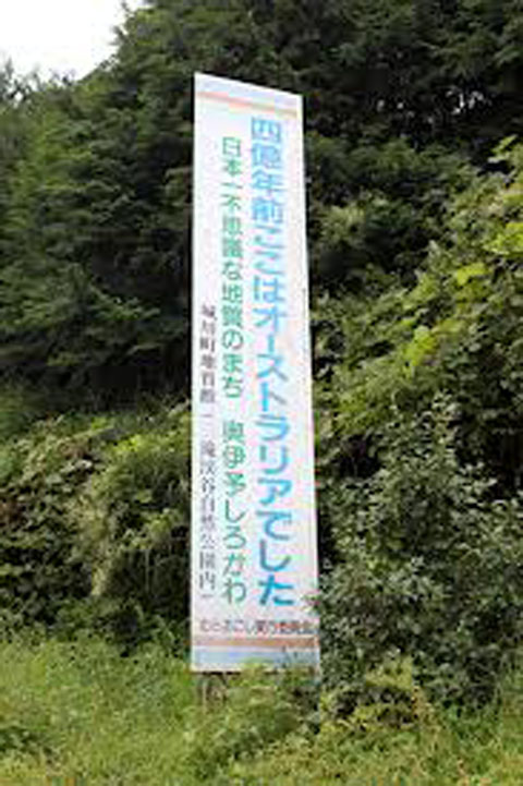 1366800226989