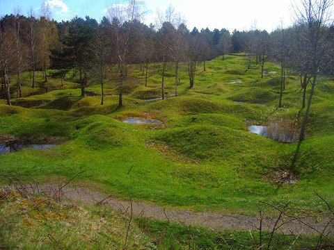 battelfield_verdun-world-war-i-red-zone-1024x768_m