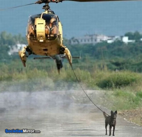 lazy-level-helicopter