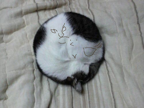 pprOm