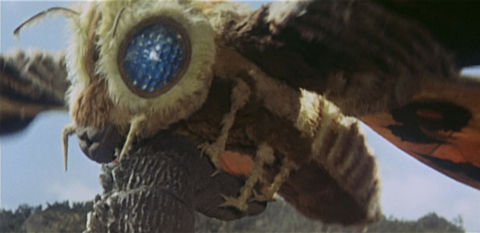 mothra-vs-godzilla