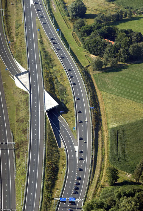 article-2702482-1FE9314F00000578-77_964x1417