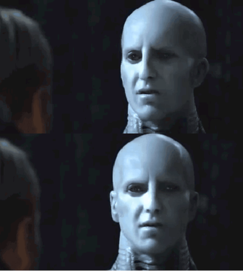 1436676358505