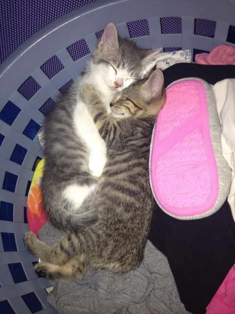 enhanced-buzz-18989-1355852739-3