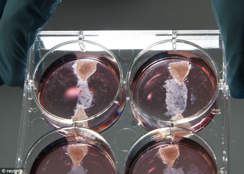 article-2323641-19C01EC4000005DC-984_634x454