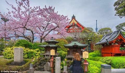 3C0DBA4100000578-4131718-image-a-8_1484739198012