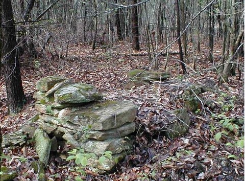 find-the-human-in-the-picture