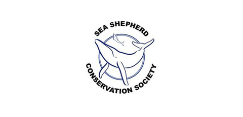 Sea-Shepherd-Finds-Retreating-Japanese-Whaling-Fleet