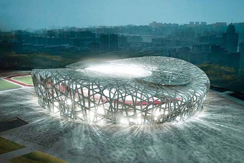 birds_nest-771071