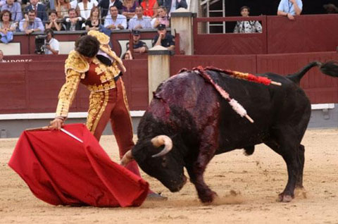 toreo