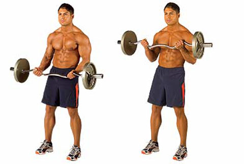 bicep-curl-w-easy-curl-bar
