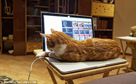 article-2571003-1BF4CBB000000578-415_634x392