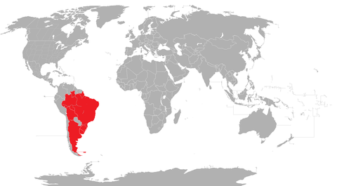 1515711204926