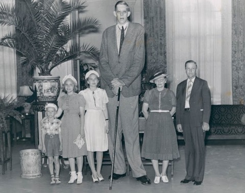 Robert_Wadlow