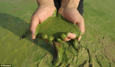 article-2288377-1871FFC9000005DC-228_638x375