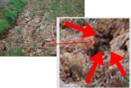 i-dont-care-about-the-cat-there-is-a-scary-18959-1279832818-88