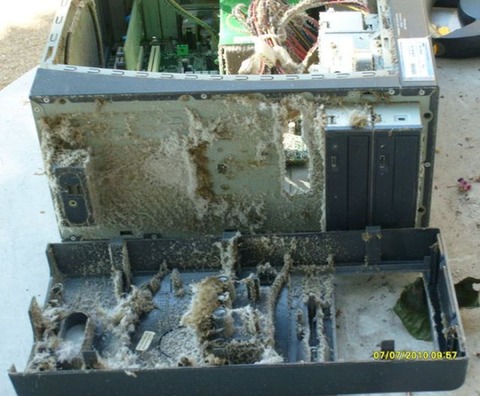 the_disgusting_things_found_inside_pcs_640_41