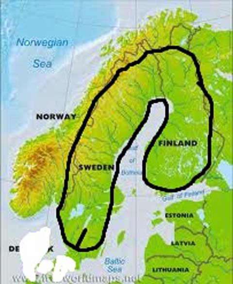 1366768208086