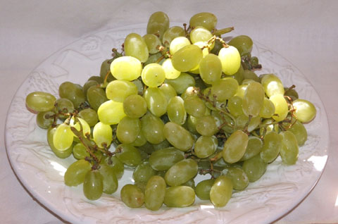 Thompson_seedless_grapes