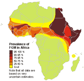 Fgm_map