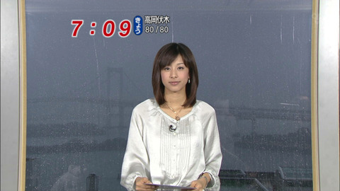 snapshot20090131101852